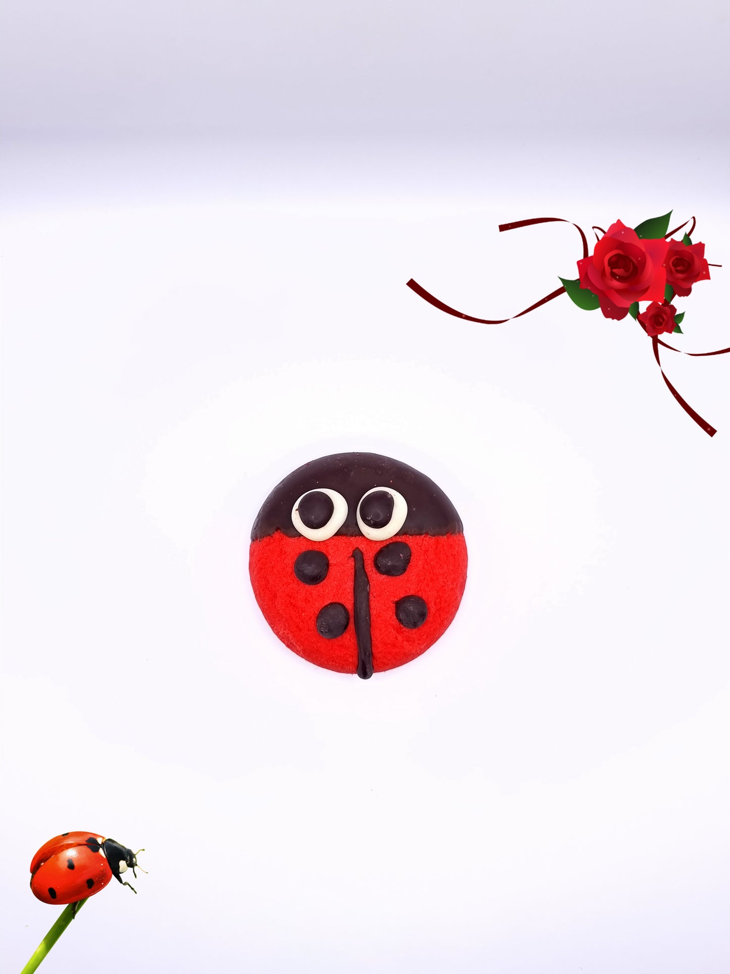 Coccinelle (prezzo al kg)