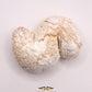 Fiocco di neve (prezzo al kg)